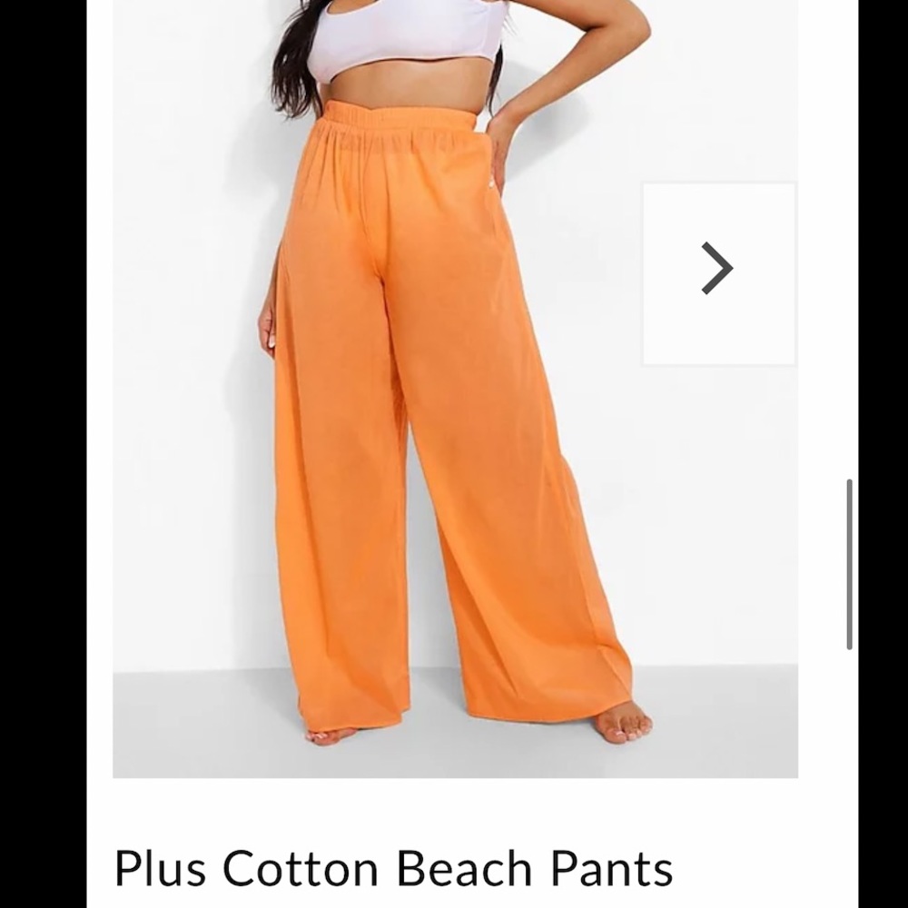 BooHoo Plus Size Pants